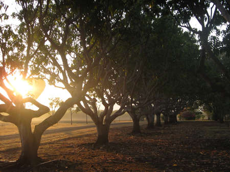 The Rising Sunの写真素材