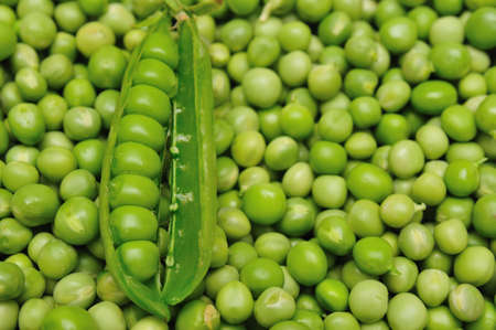 fresh green peasの写真素材