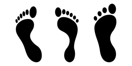 Vector illustration of human footprint on white background. Footprint icon.のイラスト素材