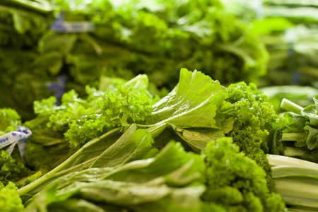 Green Lettuceの写真素材