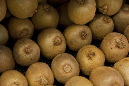 Multiple brown kiwiの写真素材