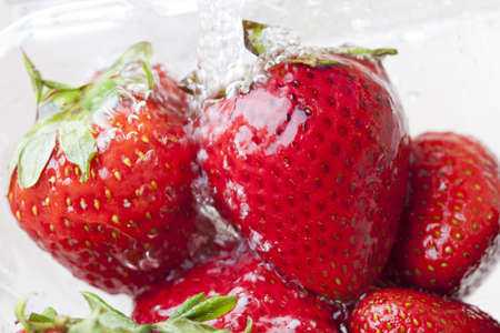 Red strawberries in waterの写真素材