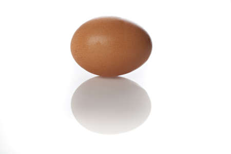 Brown egg against a white backgroundの写真素材