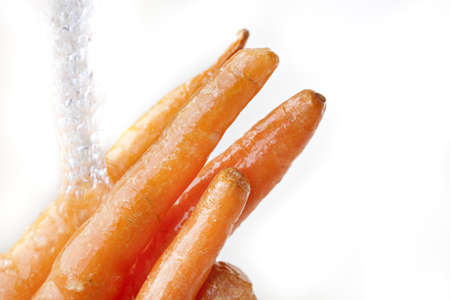 Orange carrots in waterの写真素材