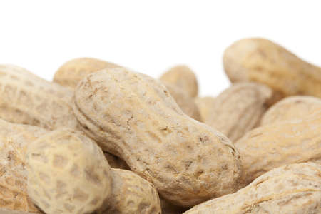 Shelled Brown Peanuts against a white background