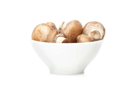 A fresh brown mushroom against a white backgroundの写真素材