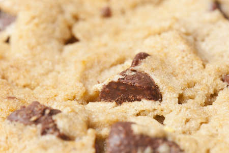 Delicious Fresh Chocolate Chip Cookies