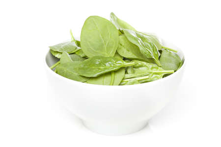 A fresh green spinach leaf isolated against a white background