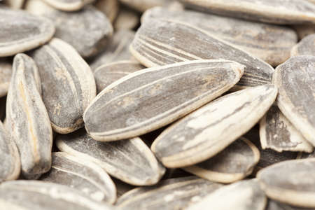 Large pile of Organic Roasted SunFlower Seeds