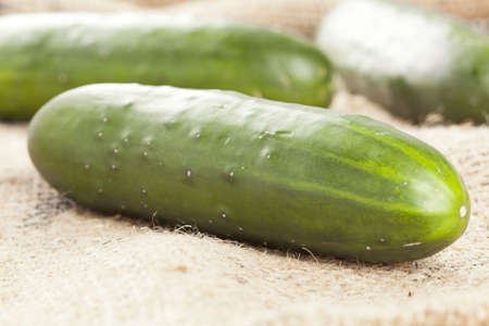 Fresh Organic Cucumber against a back groundの写真素材