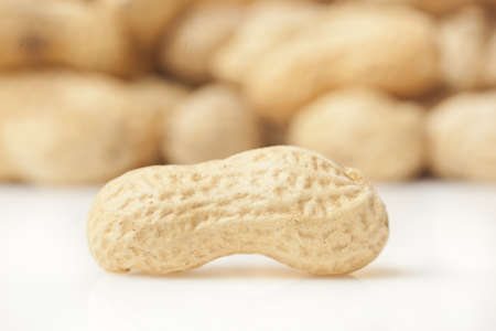 Fresh Dry Organic Peanuts against a backgroundの写真素材