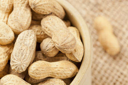 Fresh Dry Organic Peanuts against a background