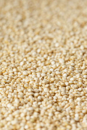 Raw Organic Quinoa Seeds against a backgroundの写真素材