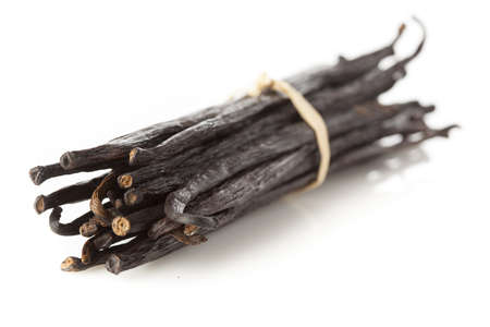 Fresh Brown Organic Vanilla Bean against a background