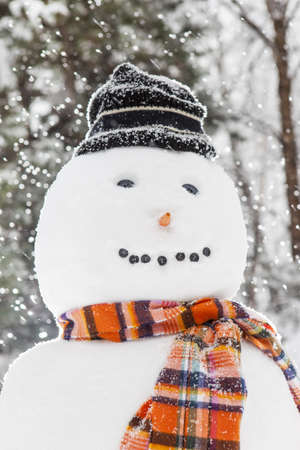 Merry White Snowman with an orange scarf and a hatの写真素材