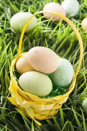 Colored Dyed Easter Eggs ready for spring