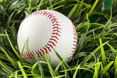 Brand New White Baseball in green grass