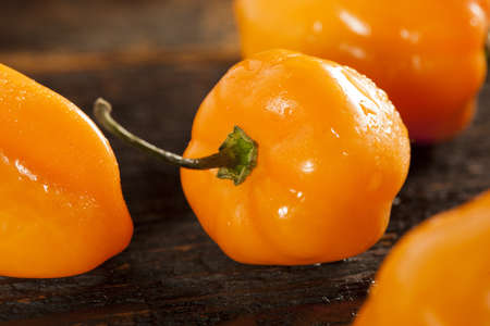 Organic Hot and Spicy Habanero Peppers against a backgroundの写真素材