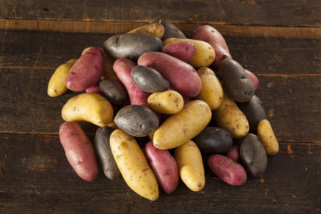 raw organic fingerling potato medley against a backgroundの写真素材