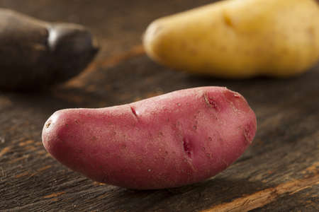 raw organic fingerling potato medley against a backgroundの写真素材