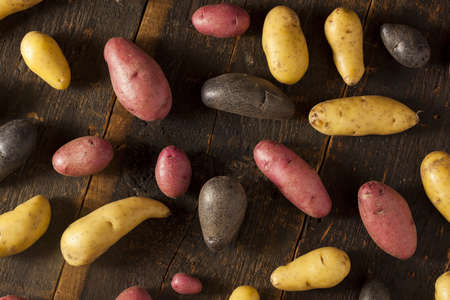 raw organic fingerling potato medley against a backgroundの写真素材