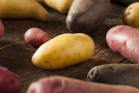 raw organic fingerling potato medley against a backgroundの写真素材