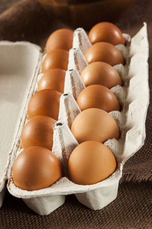 Organic Cage Free Brown Eggs on a background