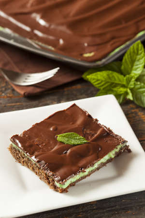 Homemade Chocolate and Mint Brownie Against a Backgroundの写真素材