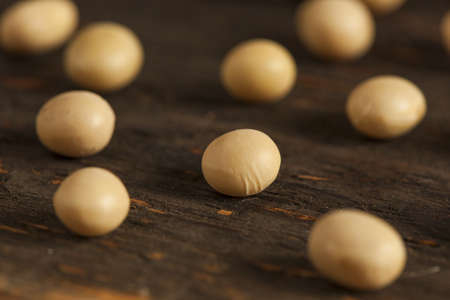 Raw Organic Dry Soy Beans against a Background