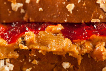 Homemade Peanut Butter and Jelly Sandwich on Whole Wheat