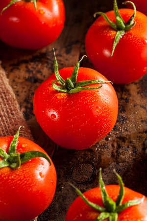 Organic Red Ripe Tomatoes on the Vineの写真素材