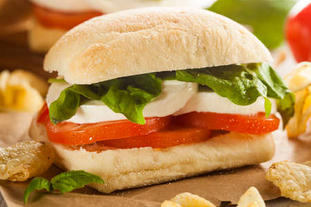 Organic Homemade Caprese Sandwich with Tomato, Mozzarella and Basilの写真素材