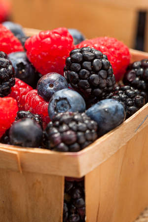 Healthy Organic Ripe Berries with Raspberries Blueberries and Blackberries