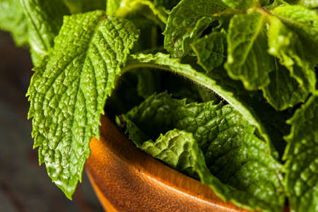 Organic Green Mint Leaf in a Bowl