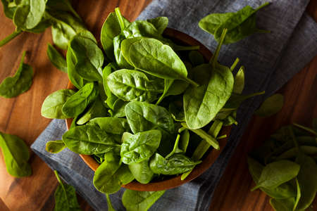 Raw Green Organic Baby Spinach in a Bowl