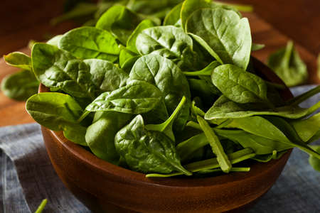 Raw Green Organic Baby Spinach in a Bowlの写真素材