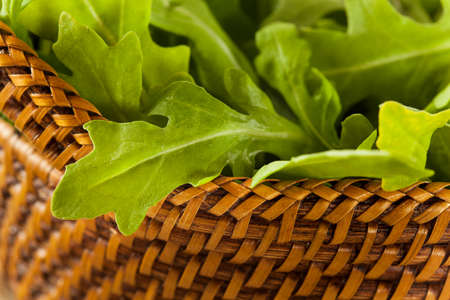 Organic Raw Green Arugula in a Basketの写真素材