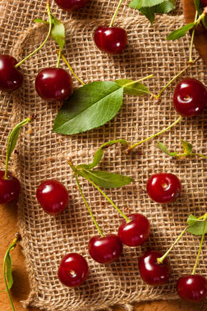 Healthy Organic Sour Cherries in a Bowlの写真素材