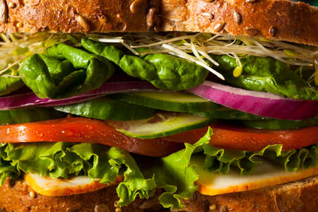 Healthy Vegetarian Veggie Sandwich with Spinach Tomato Cucumberの写真素材