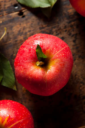 Raw Organic Red Gala Apples Ready to Eatの写真素材