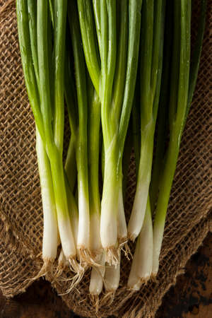 Organic Healthy Green Onion on a Backgroundの写真素材