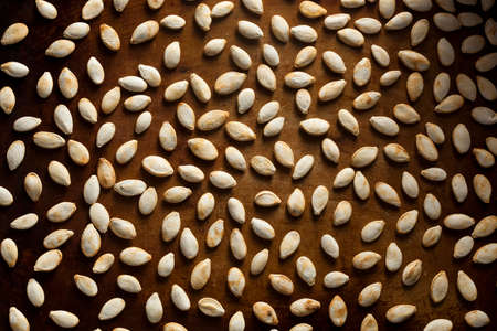 Roasted Salty Pumpkin Seeds Ready to Eatの写真素材