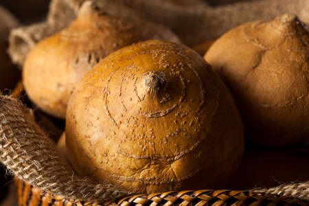 Raw Organic Brown Jicama in a Basketの写真素材