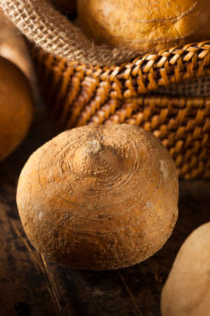 Raw Organic Brown Jicama in a Basketの写真素材