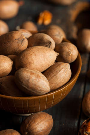 Raw Organic Whole Pecans Ready to Eat