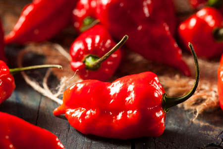 Spicy Hot Bhut Jolokia Ghost Peppers on a Background
