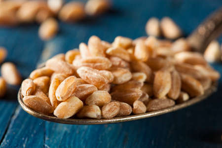 Organic Raw Farro Grain in a Bowlの写真素材