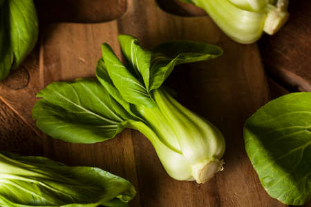 Raw Organic Baby Bok Choy on a Backgroundの写真素材