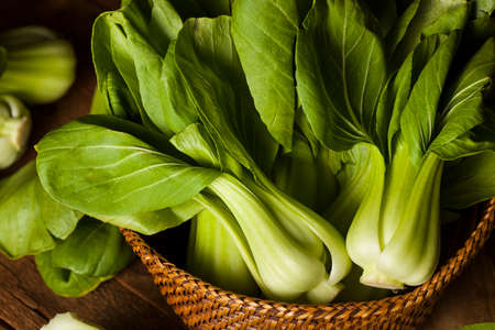 Raw Organic Baby Bok Choy on a Backgroundの写真素材