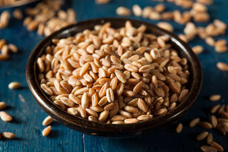 Organic Raw Farro Grain in a Bowlの写真素材